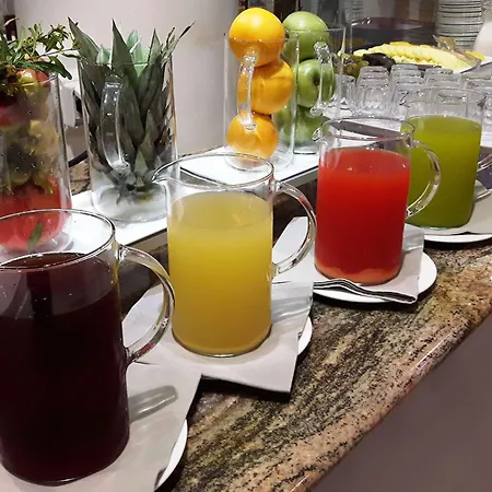 Tulip Turin South Hotel 3*