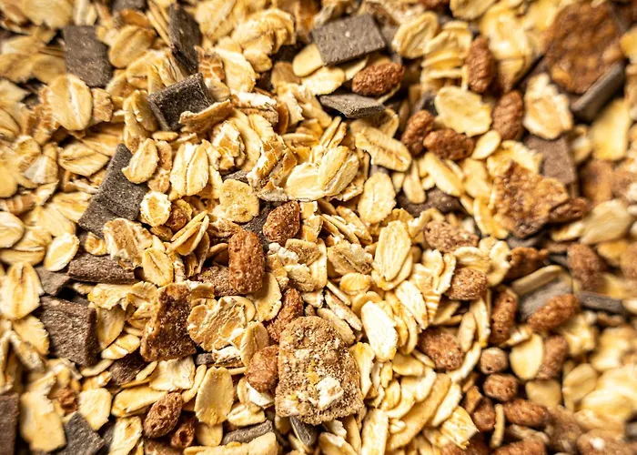 Tulip Turin South 3*